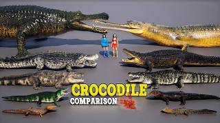 Crocodiles The Size 3D Comparison  Extinct [upl. by Leoni]