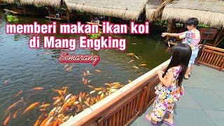 memberi makan ikan koi di Mang Engking Semarang mainjalanjalan [upl. by Yasnyl]