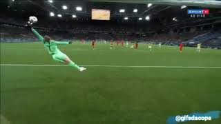 Pickford’s saves for england [upl. by Eceinhoj137]