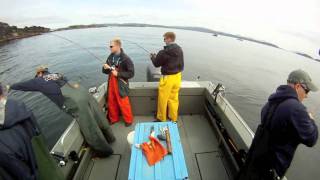 The Best Salmon Fishing is in Craig Alaska [upl. by Tergram]