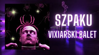 SZPAKU  VIXIARSKI BALET COVER AI [upl. by Thilde]