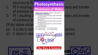 Photolysis of Water I Photosynthesis [upl. by Cottle]