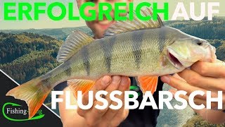 5 TIPPS fürs BARSCHANGELN vom Ufer  FishingKingde [upl. by Pruchno]