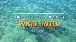 Manatee Lagoon  Only in The Palm Beaches [upl. by Eladnor]