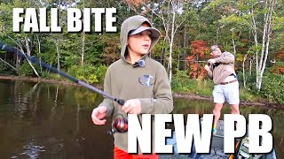 The fall Bass Fishing bite has started  New PB Fishing bassfishing [upl. by Laniger]