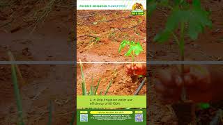 Water Wise  Drip and Grow dripirrigationsystem irrigation farming farmer [upl. by Almeeta]