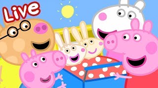 🔴 LIVE Peppa Pig and Friends Best Adventures 2024  24 HOUR Livestream [upl. by Notselrahc]