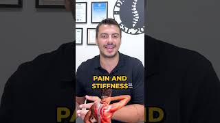 How Chiropractic Adjustments Relieve Pain Naturally – Part 2 [upl. by Ahsinal]