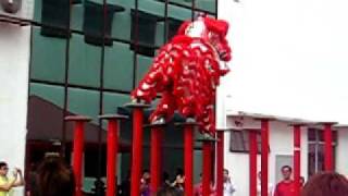 Lion Dance Chinese New Year 2011 Malaysia  Part 3 of 3 [upl. by Ytoc]