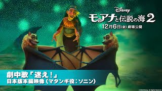 「モアナと伝説の海２」日本版本編映像 劇中歌「迷え！」（マタンギ役：ソニン）｜12月6日（金）劇場公開！ [upl. by Krispin]