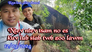 Ntev ntev tsam no es kuv lub siab twb zoo lawm os 12032024 [upl. by Leifer]