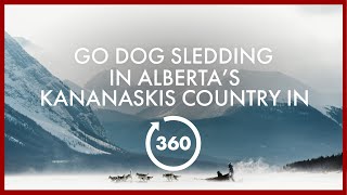 Go Dog Sledding in Alberta’s Kananaskis Country in 360° [upl. by Adelaja416]