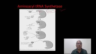 AMINOACYL tRNA SYNTHETASE ENZYME [upl. by Ahtelahs793]