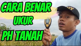 Cara Ukur pH Tanah Sawah [upl. by Urbain150]