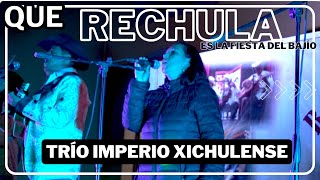 🔥QUE RECHULA es la FIESTA del BAJÍO quotTrío Imperio Xichulensequot El Herradero🎵 [upl. by Niala347]