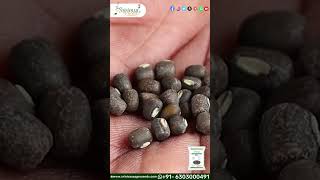 Kota 3 Black Gram In English  Thanneu Suresh  Srinivasa Agro Seeds  blackgram kota3 [upl. by Jet]