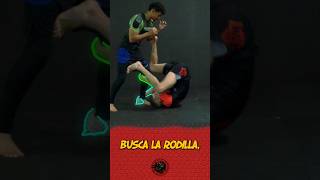 Imanari roll 😵‍💫 bjjenespañol mma grappling escueladegrappling bjj jiujitsu ufc [upl. by Llecrep537]