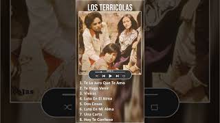 Los Terricolas MIX Grandes Exitos shorts  1970s Music So Far  Top Rock en Español Latin Lat [upl. by Llatsyrk451]