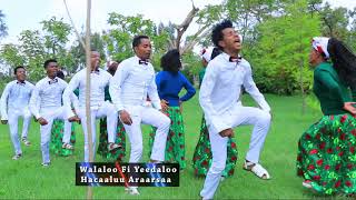 Hacaaluu Araarsaa Jarumaafi  Oromo Music 2018 New [upl. by Deborath687]