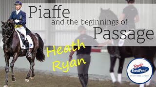 Piaffe and the beginnings of Passage training  Dressage with Heath Ryan [upl. by Dlorah]