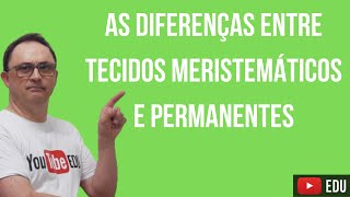 DIFERENÇA ENTRE TECIDOS MERISTEMÁTICOS E PERMANENTES [upl. by Macknair]