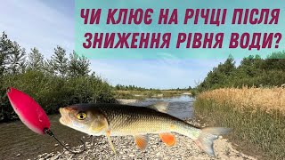 VLOG 14 ловля на річці в Карпатах коли рівень води знижується [upl. by Marbut415]