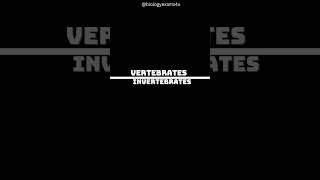 Vertebrates vs Invertebrates [upl. by Kcirdnekel]