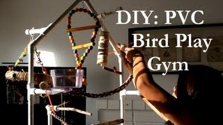 DIY PVC Bird Play Gym [upl. by Cavuoto]