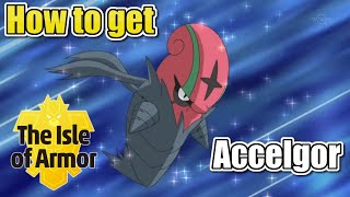 How To Get Accelgor  Isle of Armor DLC [upl. by Carper]