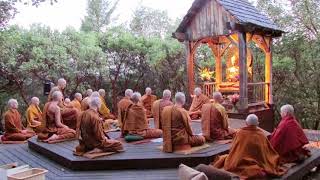 Pali Chanting In The Abhayagiri Buddhist Monastery  Theravada Buddhism [upl. by Thevenot]