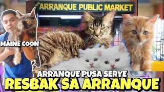 ANG PAGBABALIK SA ARRANQUE PET MARKET  PUSA SERYE  JUNE 27 2024 [upl. by Clotilda347]