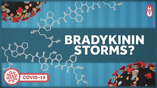 Bradykinin Storms and Covid Inflammation [upl. by Jahdal962]