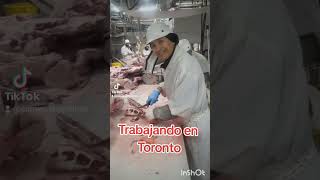 Trabajando de Carnicero en Canada [upl. by Odnarb771]