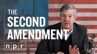 So You Want To Repeal The 2nd Amendment  Ron’s Office Hours  NPR [upl. by Range325]