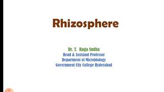 Rhizosphere [upl. by Nauqal]