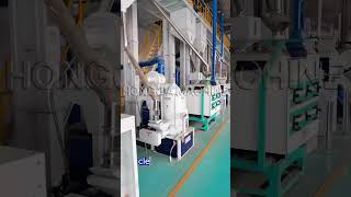 Paddy Parboiling Machine and Rice Dryer Supplier  Hongjia Rice Mill parboiledricemillplant [upl. by Casie42]