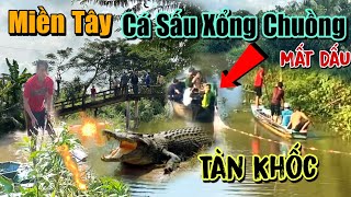 quot Tàn Khốcquot Cá Sấu Xổng Chuồng Người Dân Kéo Nhau Truy Bắt Bị Mất Dấu Vết Cảnh Báo Sông Nước MiềnTây [upl. by Theall]