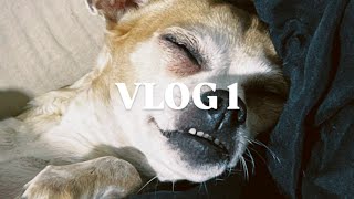 VLOG 1  Picha house [upl. by Nylloh]