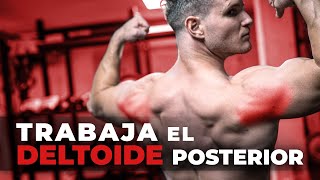 Trabaja el Deltoides Posterior 💪🏻 La guía más completa [upl. by Tully]