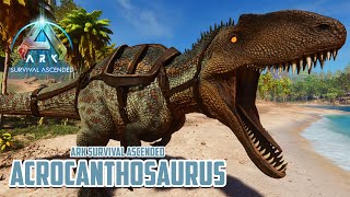 ACROCANTHOSAURUS SI KANG INJEK  Ark Survival Ascended Dino MOD [upl. by Akahs]