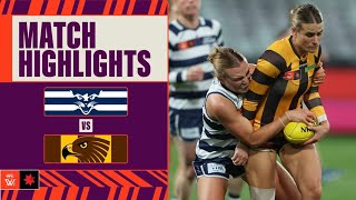 Geelong v Hawthorn Highlights  Week Five 2024  AFL [upl. by Tamanaha716]