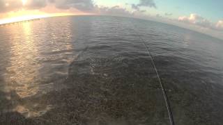 Belize DIY bonefishing [upl. by Yelrahs]