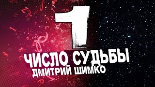 ЧИСЛО СУДЬБЫ quot1quot  ДМИТРИЙ ШИМКО [upl. by Irina]