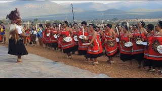 Umtsimba waLaTsabedze kaDladla eNkwene Traditional wedding [upl. by Arihday]