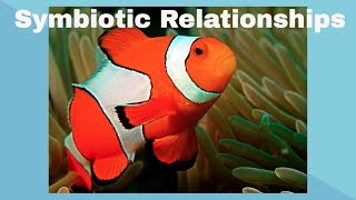 Examples of Symbiotic Relationships [upl. by Mars]