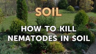 How to Kill Nematodes in Soil [upl. by Singleton]