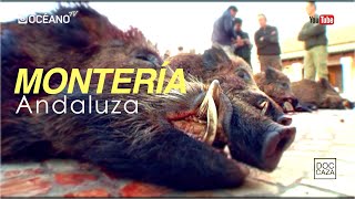 Montería Andaluza Documental en el que asistiremos a la auténtica montería andaluza [upl. by Thurman]