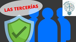 Anular un embargo  Tercería excluyente de dominio  Ejemplo [upl. by Akerboom131]