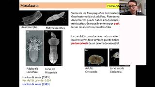 Meiofauna [upl. by Minabe321]