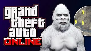 Hunting The YETI in GTA 5 Online [upl. by Elokcin67]